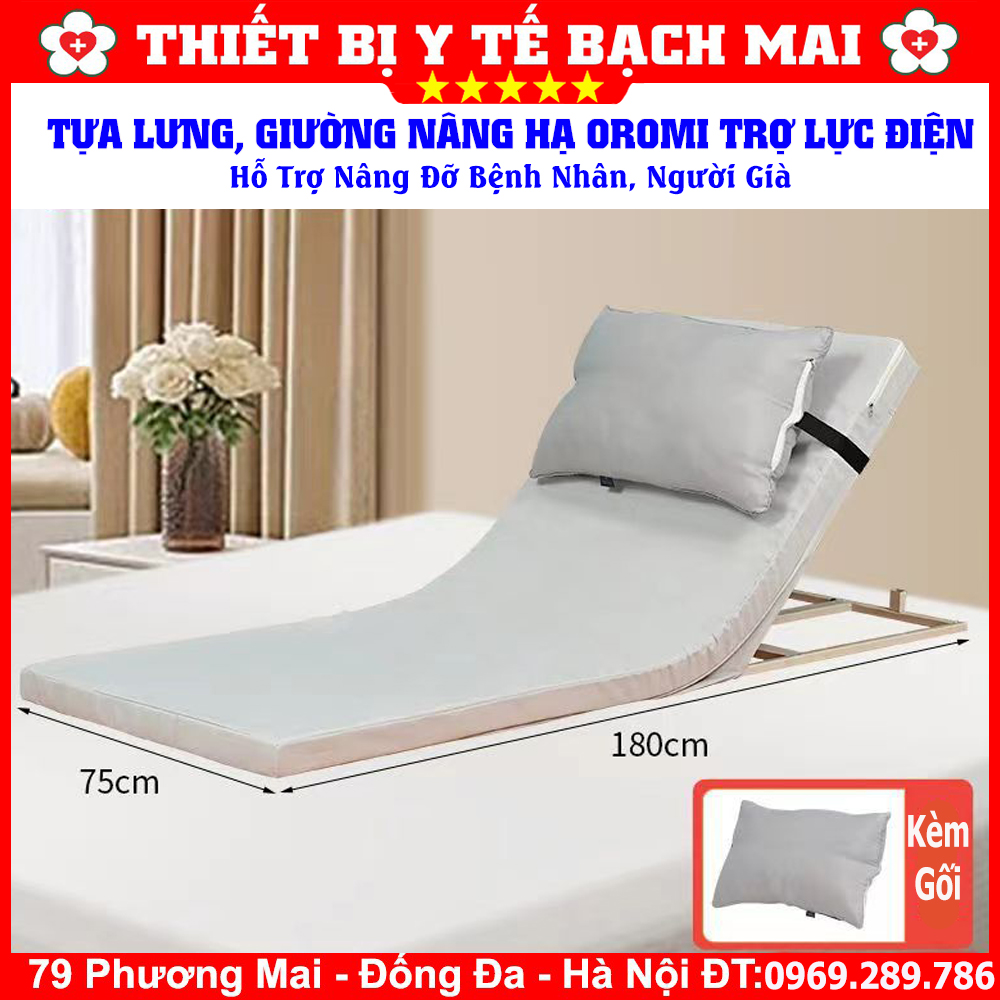 Giường Nâng Hạ OROMI VTM-2024 Trợ Lực Tăng Điện Hỗ Trợ Nâng Đỡ Bệnh Nhân, Người Già Giường Nâng Hạ OROMI VTM-2024 Trợ Lực Tăng Điện Hỗ Trợ Nâng Đỡ Bệnh Nhân, Người Già